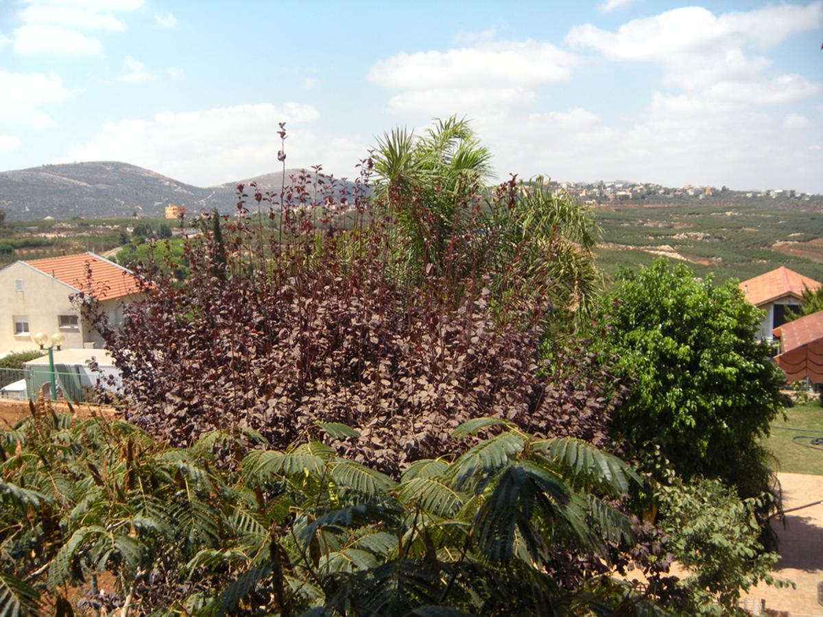 הוילה אצלנו בחצר מטולה מראה חיצוני תמונה